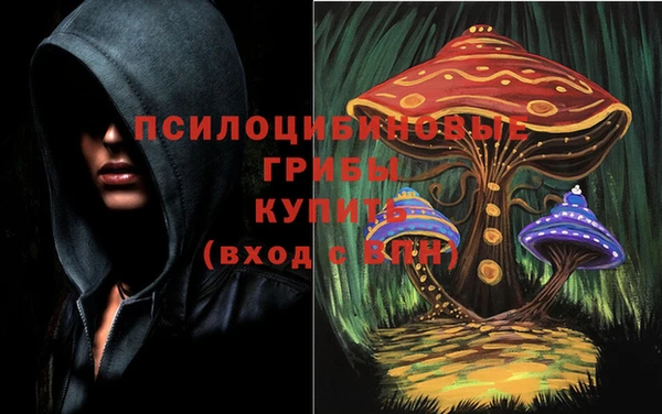 дурь Каменка