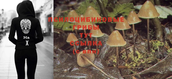 ECSTASY Касимов