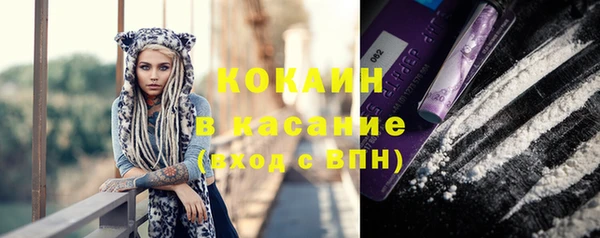 дурь Каменка