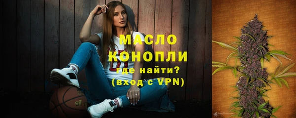 дурь Каменка